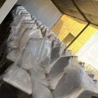 صندلی تالاری رستا