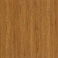 همکار خانم جهت کار با کامپیوتر