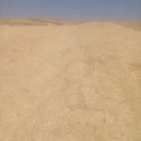 کاه