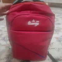 کیف وکتونی