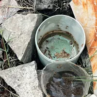 فروش محلول ضد آفت زد پشه در رودان میناب