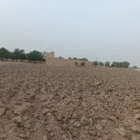 فروش-1000-متر-زمین-کشاورزی