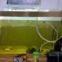 آکواریوم فروشی