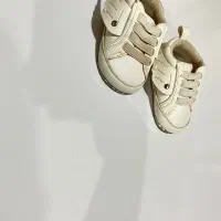 کالسکه سالم