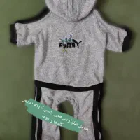 لباس سگ|لوازم جانبی حیوانات|ری, دولتآباد|دیوار