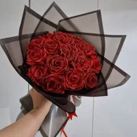 گل روبانی و پولی.