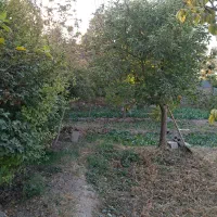 اجاره باغ در طبیعت بکر|اجارهٔ کوتاه‌مدت ویلا و باغ|فلاورجان, |دیوار