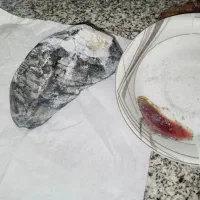 سلام شهاب سنگ