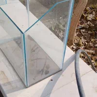 آکواریوم نو|ماهی|آران و بیدگل, |دیوار