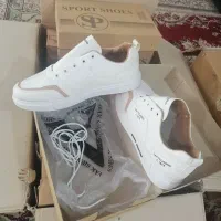 کفش اسپرت|کیف، کفش، کمربند|کازرون, |دیوار