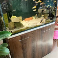 اکواریوم ۹۰*۴۵*۴۵ ای پی ای سوپر کلیر