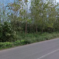 زمین روستایی 300 متری نبش آسفالت قابلیت ساخت|فروش زمین و ملک کلنگی|لنگرود, |دیوار