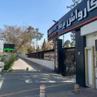 نیروی کارواش کار حرفه ای