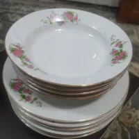 ظروف گل قرمزی|ظروف سرو و پذیرایی|فولادشهر, C1|دیوار