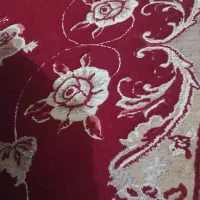قالیشویی یاسین اروند تضمین درشستشو