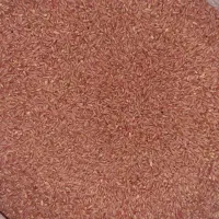 گندم بیرنگ|خوردنی و آشامیدنی|دشت ذهاب, |دیوار