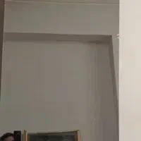 یک قطعه آینه شفاف طولی