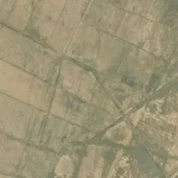هزار هکتار زمین کشاورزی خوزستان کشت گندم