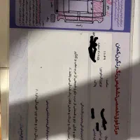 ۲۰۶ تیپ ۲ مدل ۹۱|خودرو سواری و وانت|تهران,  امام زاده قاسم (نیاوران)|دیوار