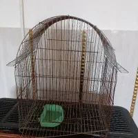 قفس پرنده سالم