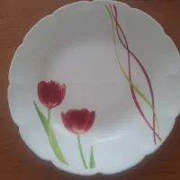 مارک دسینی|ظروف سرو و پذیرایی|اراک, |دیوار