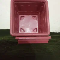 فروش گلدان ب صورت عمده|گل و گیاه طبیعی|الیگودرز, |دیوار