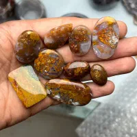 همکار جهت شیفت صبح