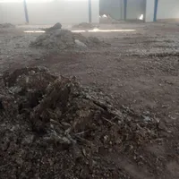 کارگر کود کبوتر کوهی از سوله ها هستم
