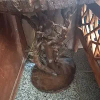 دو عدد میز عسلی روستیک|مبلمان خانگی و میز عسلی|کرج, کمال‌شهر|دیوار