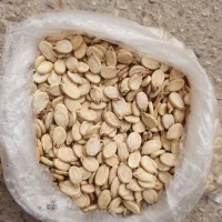 تخمه هندوانه