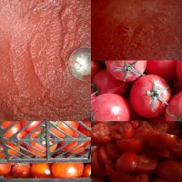 آبلیمو ،رب گوجه، سبزی ،هل ،زعفرون|خوردنی و آشامیدنی|اهواز, زیتون کارمندی|دیوار