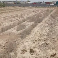 زمین-10مترعرض-در50طول-بنجاق-سندم-داره