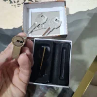 مغزی در