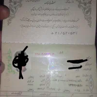 شناسنامه پیدا شده رضا مسعود نیا