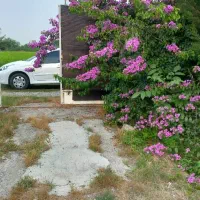 ویلاباغ ۵۰۰ متری/زیرقیمت/آمل|فروش خانه و ویلا|امامزاده عبدالله, |دیوار