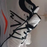 کفش نیوبالانس اصل