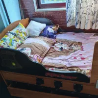 تخت مدل کشتی اپادانا|تخت و سرویس خواب|نور, |دیوار