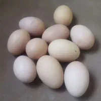 تخم مرغ لاری