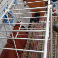 بند رخت فلزی|بندرخت و رختآویز|رشت, جانبازان|دیوار