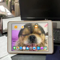 ای پد ۶ اپل مدل A1893 صفحه بزرگ ۱۰ اینچی|تبلت|مشهد, فردوسی|دیوار