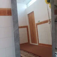 آینه قدی|آینه|کرمان, |دیوار