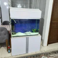 آکواریوم شیشه خم با تجهیزات