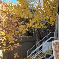 اجاره ویلا در جاده هراز آبعلی