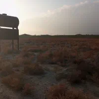 1000 متر زمین اجاره داده میشود|اجارهٔ دفتر صنعتی، کشاورزی، تجاری|گلبهار, شهر جدید گلبهار|دیوار