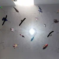 عروسک نو سیسمونی|اسباب‌‌بازی|مشهد, انقلاب|دیوار