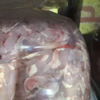 بچه فیله|خوردنی و آشامیدنی|کرج, کارخانه قند|دیوار