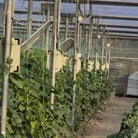 فروش گل خانه در اردبیل کنار اتوبان اردبیل -آستارا|فروش دفتر صنعتی، کشاورزی، تجاری|اردبیل, |دیوار