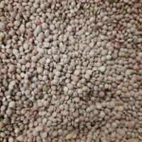 برنج و حبوبات مناسب تراز همه جا نیمدانه۱۷۰|خوردنی و آشامیدنی|بروجرد, |دیوار