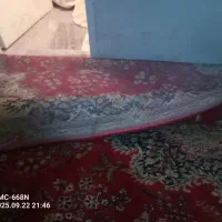 فرش ماشینی|فرش|سهند, |دیوار