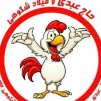 استخدام راننده